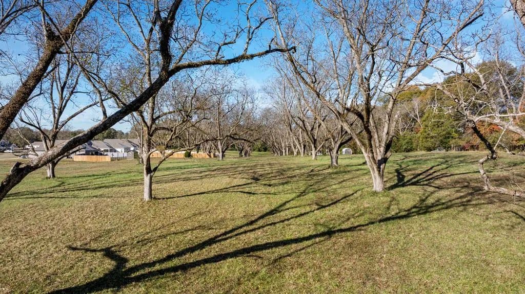 Vacant Land in Pine Mountain - Pine Mountain, Georgia, 31822
