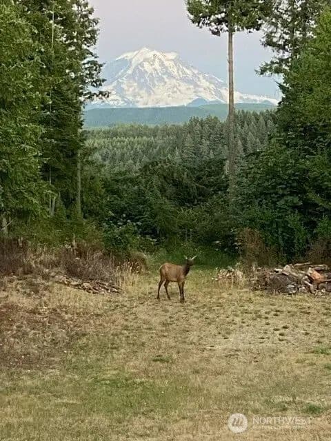 Vacant Land in Orting - Orting, Washington, 98360