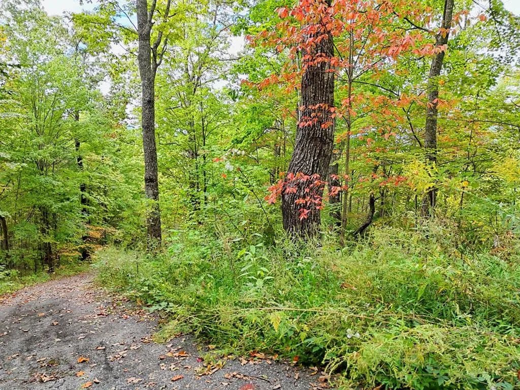 Lots & Land-Other in Hayesville - land for sale