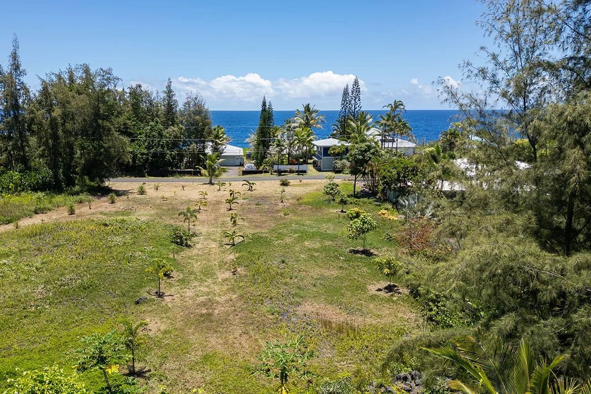 Vacant Land in Keaau - Keaau, Hawaii, 96749
