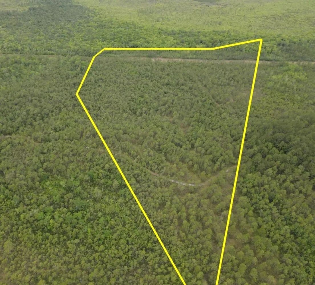 BuckShot Property - Hampstead, North Carolina, 28411