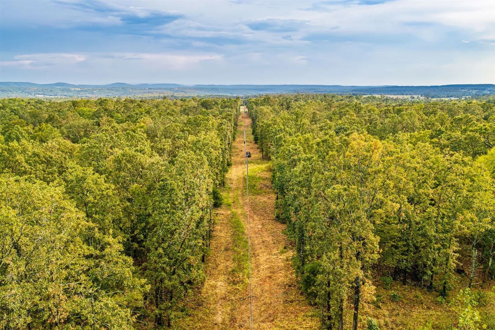 20 Acres of Land for Sale in Welling, OK - Welling, Oklahoma, 74471