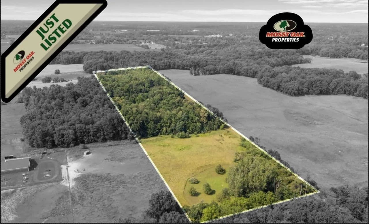 20 Acres of Hillsdale Co - Hudson, Michigan, 49247
