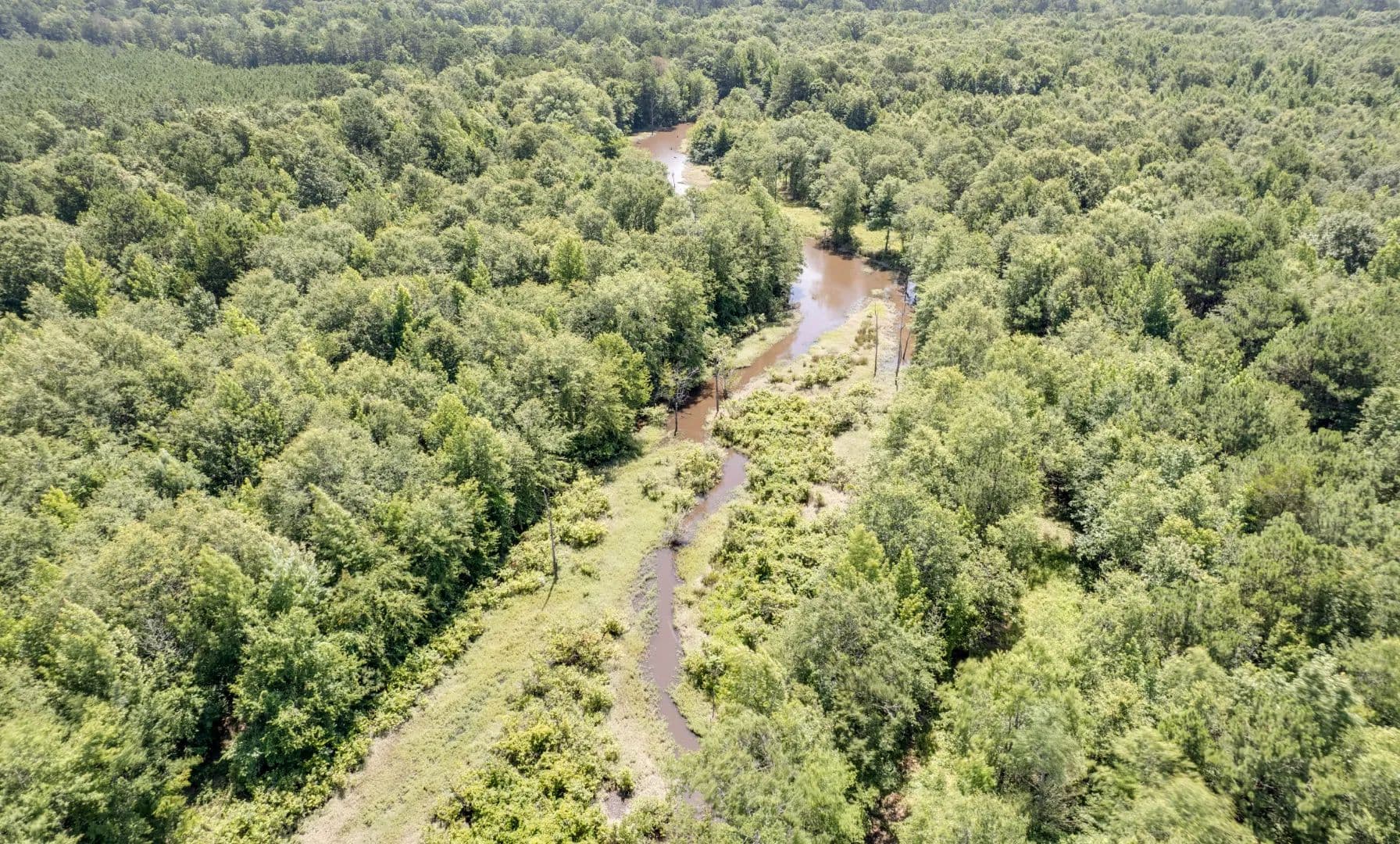 97.85 Acres - Turnkey Hunting Property in Atlanta, TX - Atlanta, Texas, 75551