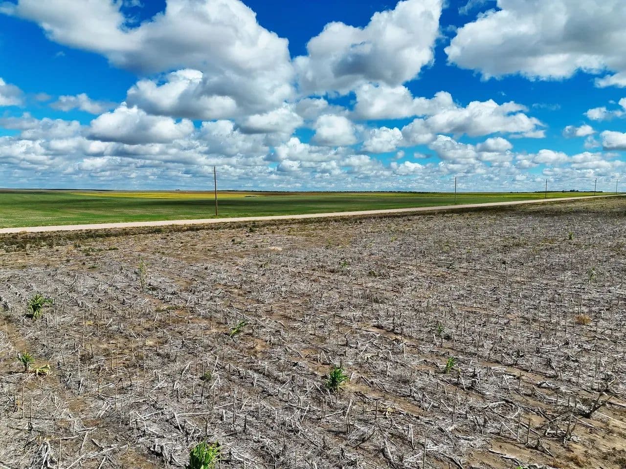 Mostly Tillable Cropland Parcel with Grassland CRP near Sidney, NE - Sidney, Nebraska, 69162