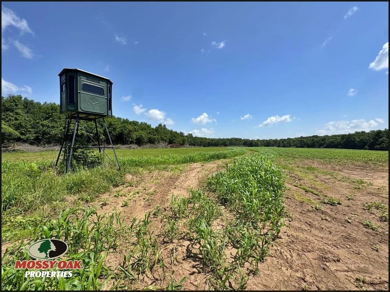 173 Acres of Prime Hunting & Income-Producing Land – Crawford County, IL - York, Illinois, 62477