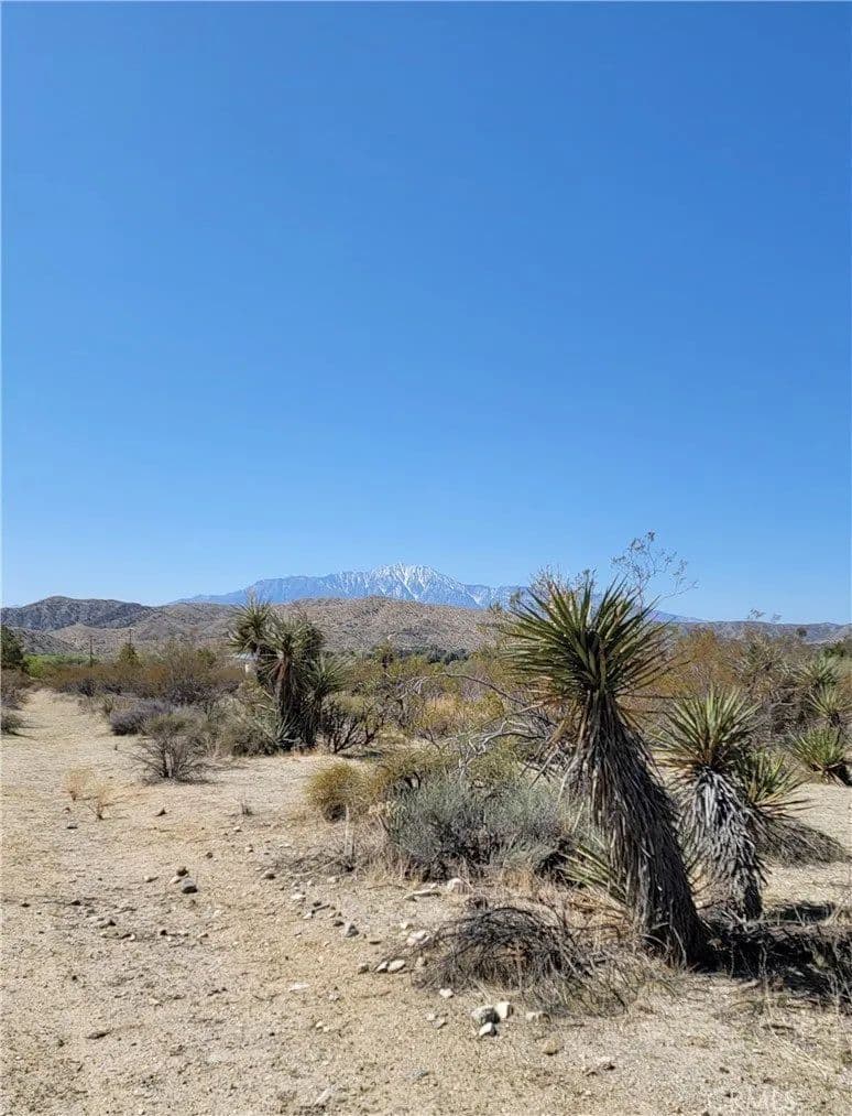 Lots & Land-Other in Morongo Valley - Morongo Valley, California, 92256
