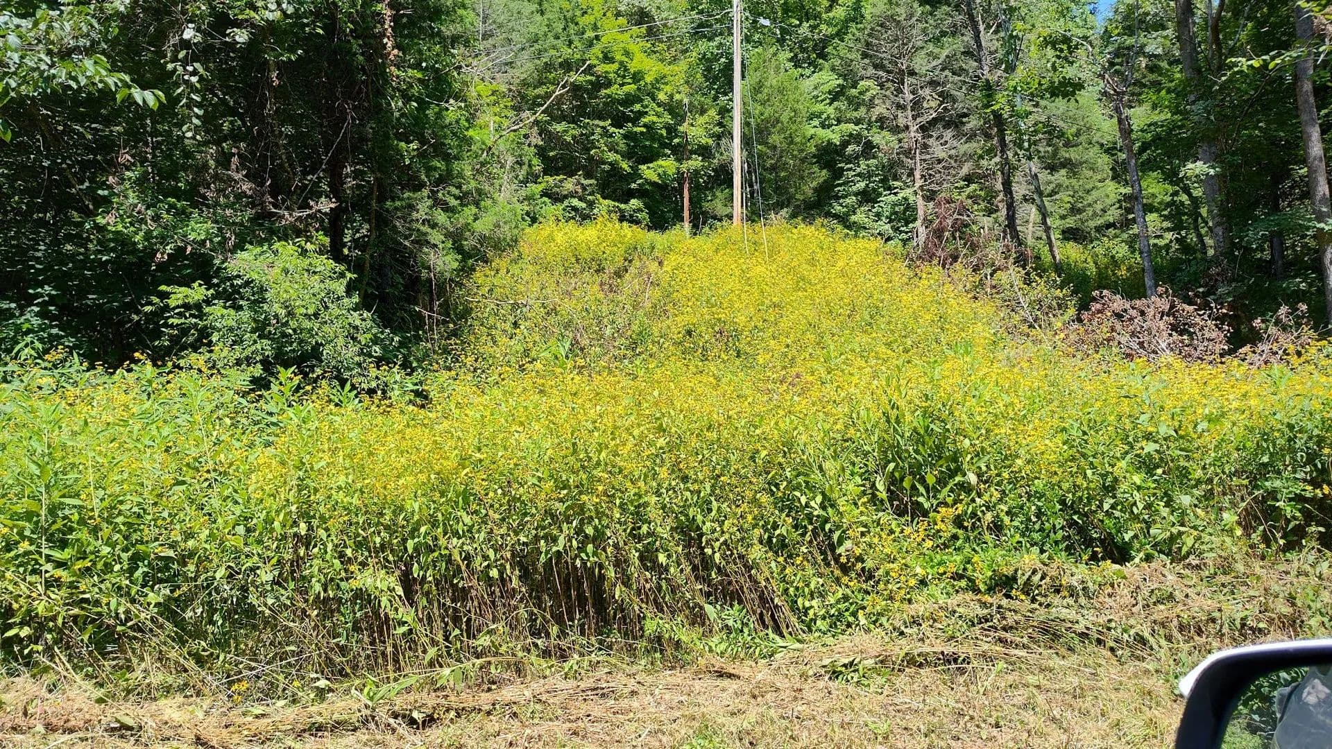 Lots & Land-Other in Smithville - Smithville, Tennessee, 37166