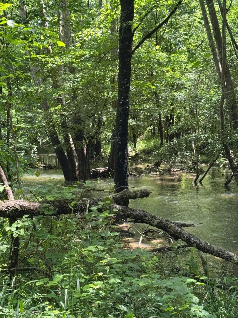 40 Acres of Land for Sale in South Pittsburg, TN - South Pittsburg, Tennessee, 37380