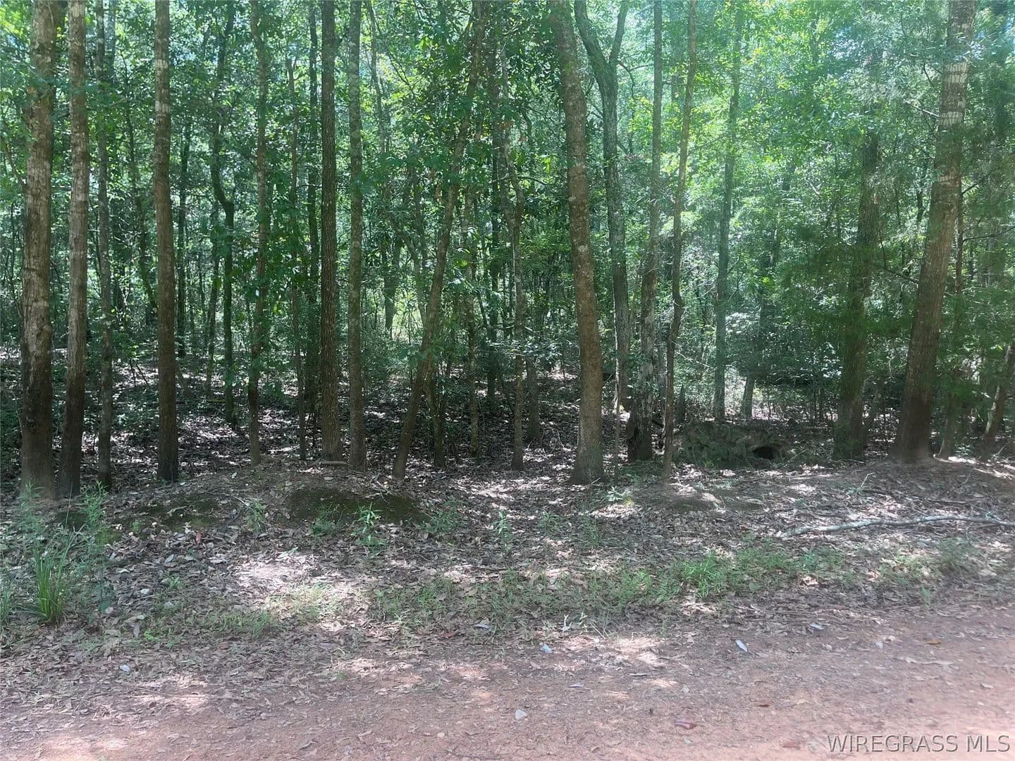 Vacant Land in Daleville - land for sale