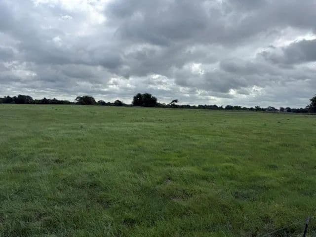 Property from 479 Tbd - KW - Van, Texas, 75790