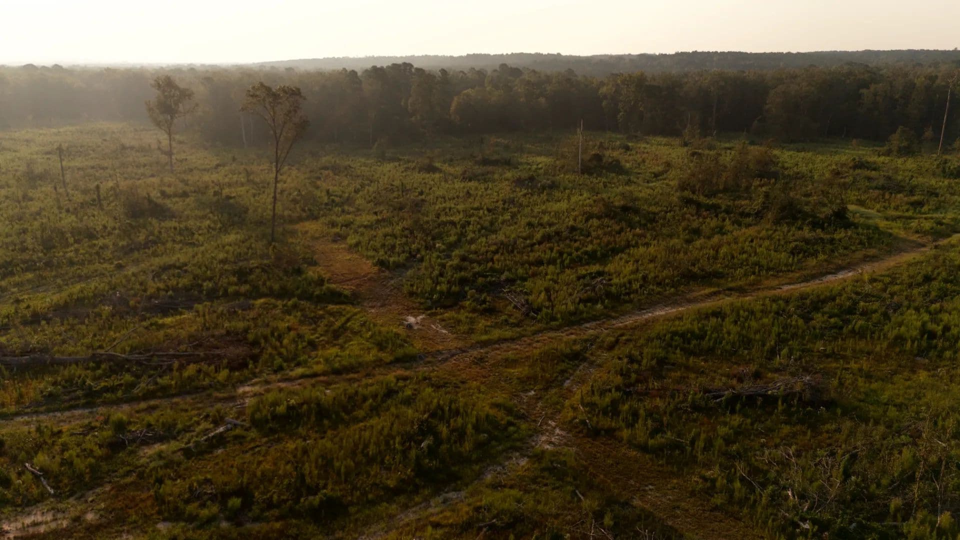 324 Acres in Claiborne Parish, LA  - Lisbon, Louisiana, 71048