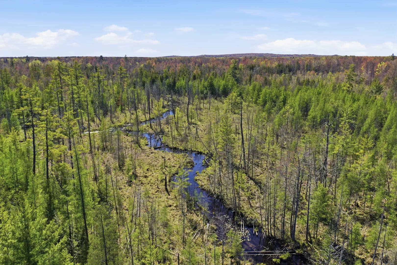 Heald Creek 80 - White Cloud, Michigan, 49349