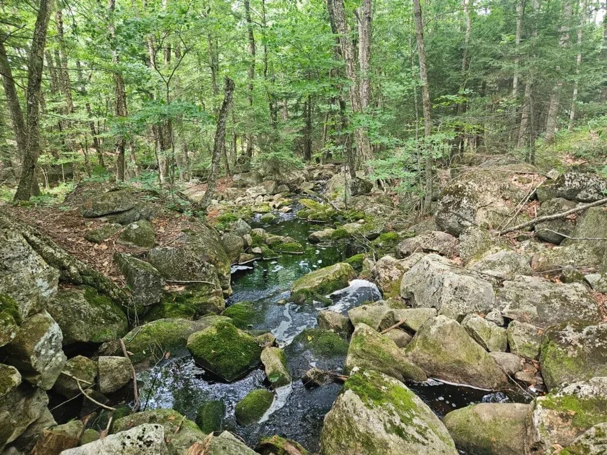 Leeds, Quaker Ridge Road P/O Fales South - 160 acres - Leeds, Maine, 04263