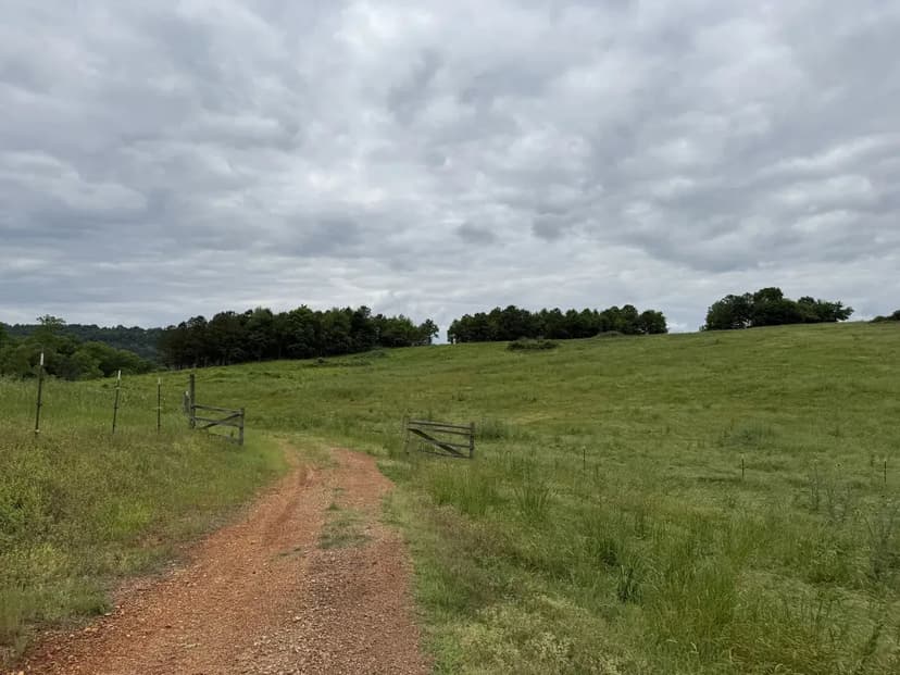 59 Acre Recreational/Livestock Farm