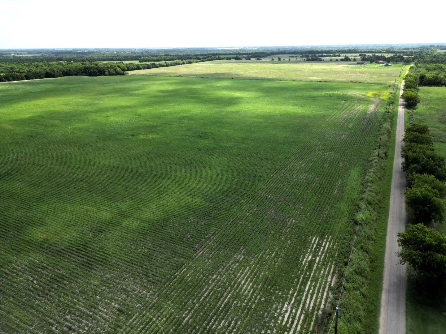 Land -Agricultural (Not Zoned) in Klondike - Klondike, Texas, 75440