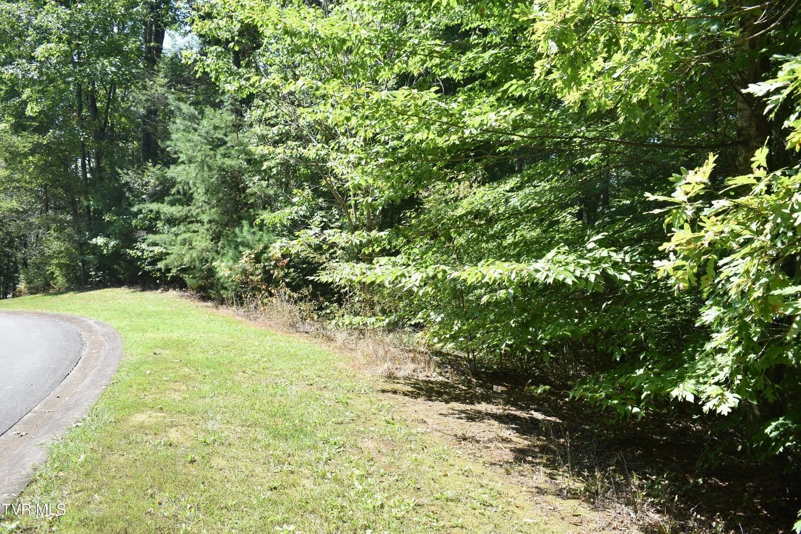 Vacant Land in Greeneville - Greeneville, Tennessee, 37745