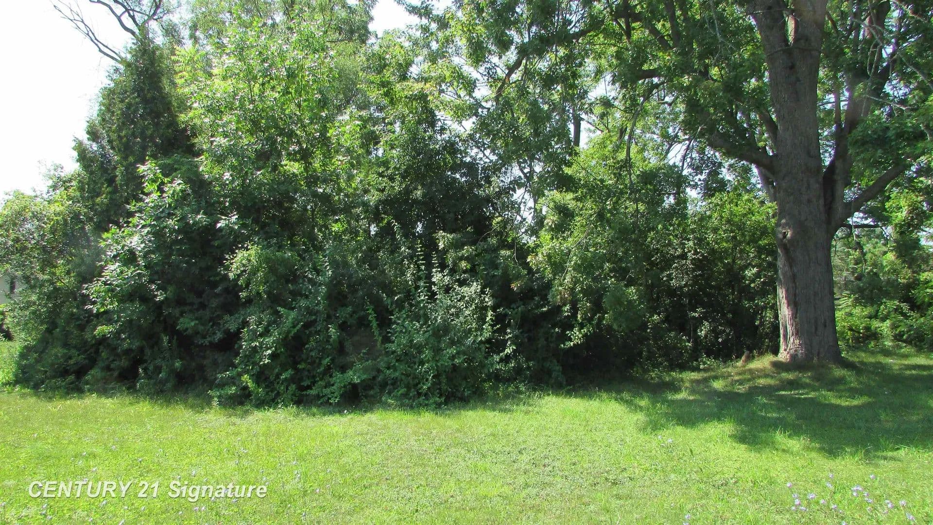 Vacant Land in Saginaw - Saginaw, Michigan, 48638