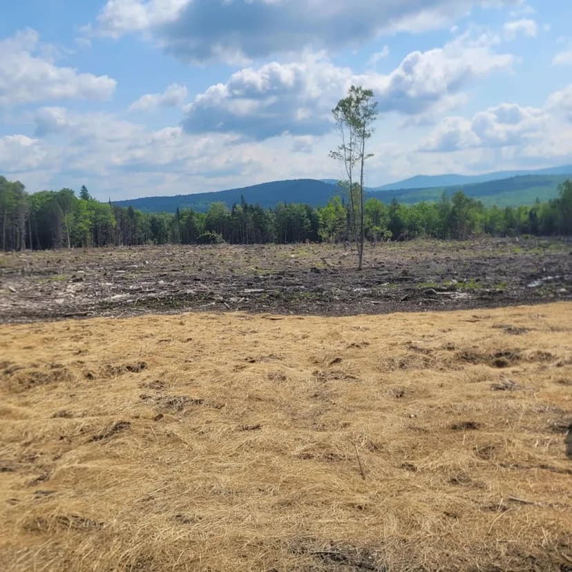 Lots & Land-Other in Newark