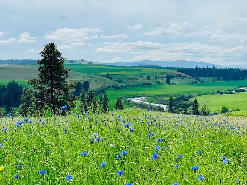 Property from 11900 Hays Rd - KW