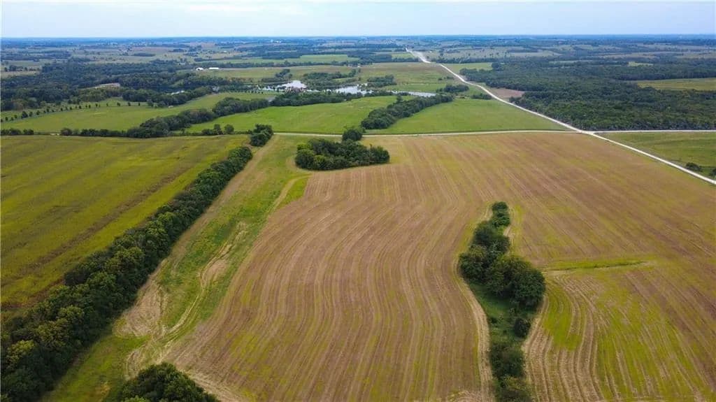 25.9 Acres of Land for Sale in Drexel, MO - Drexel, Missouri, 64742