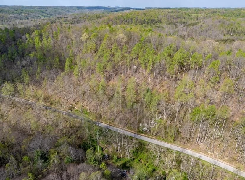 Lots & Land-Other in morehead