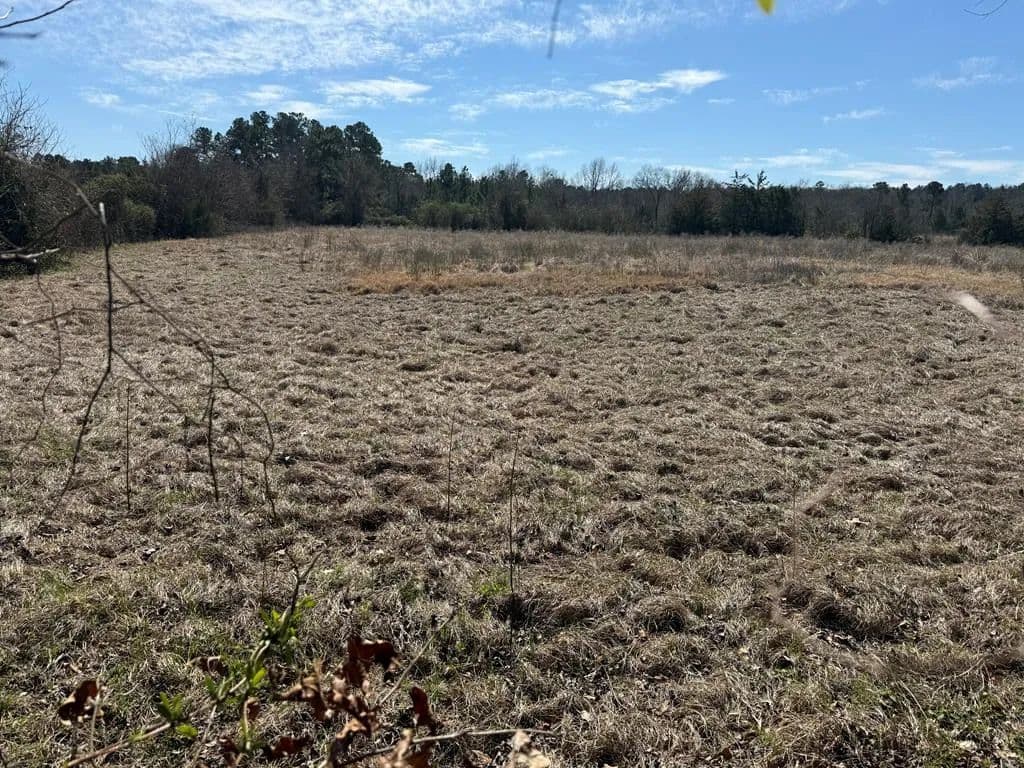 Lots & Land-Other in Pollok - Pollok, Texas, 75969