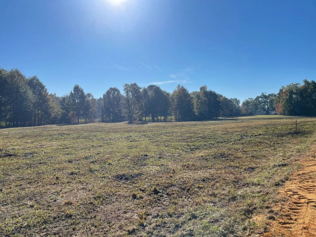 Alabama Riverfront Development/Investment Tract - Camden, Alabama, 36726