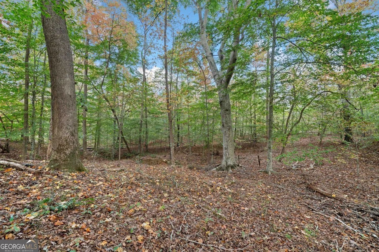 Lots & Land-Other in Waleska - Waleska, Georgia, 30183