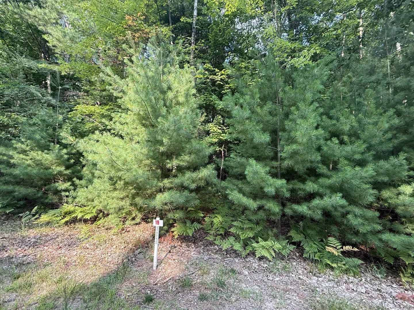 Lots & Land-Other in Stanwood - Stanwood, Michigan, 49346