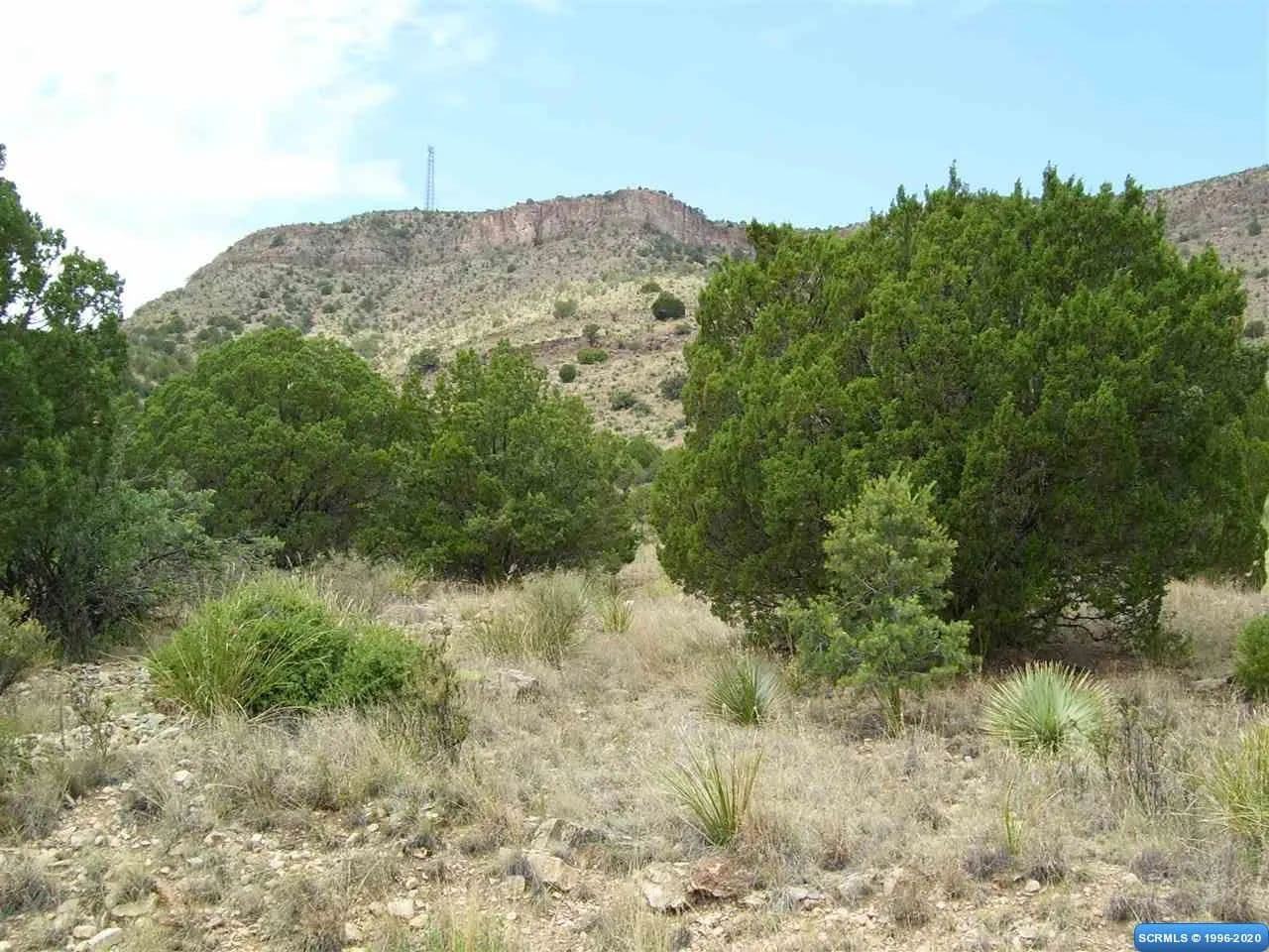 Vacant Land in Mimbres - Mimbres, New Mexico, 88049