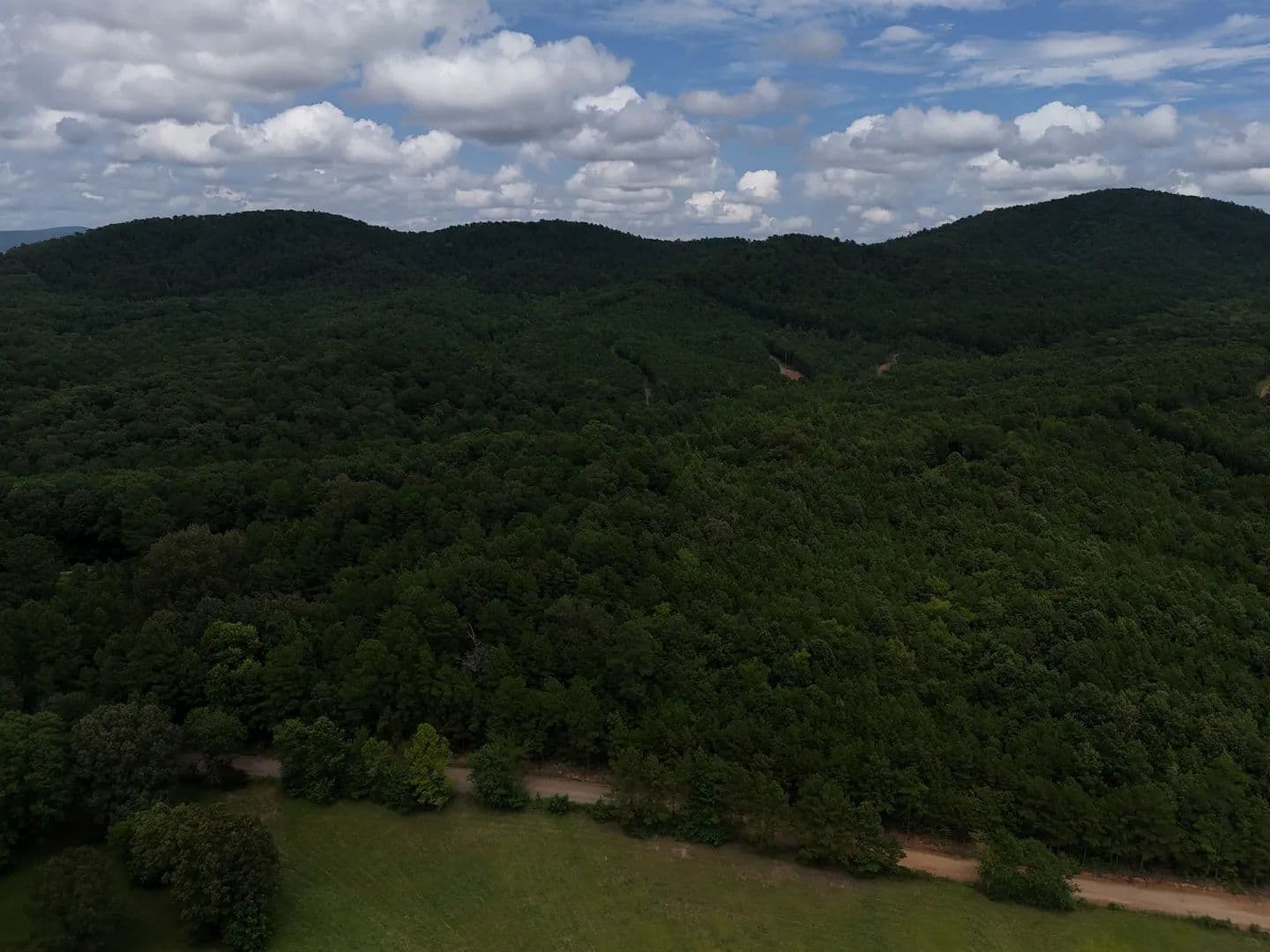 Land -Single Family Acreage in Mena - Mena, Arkansas, 71953