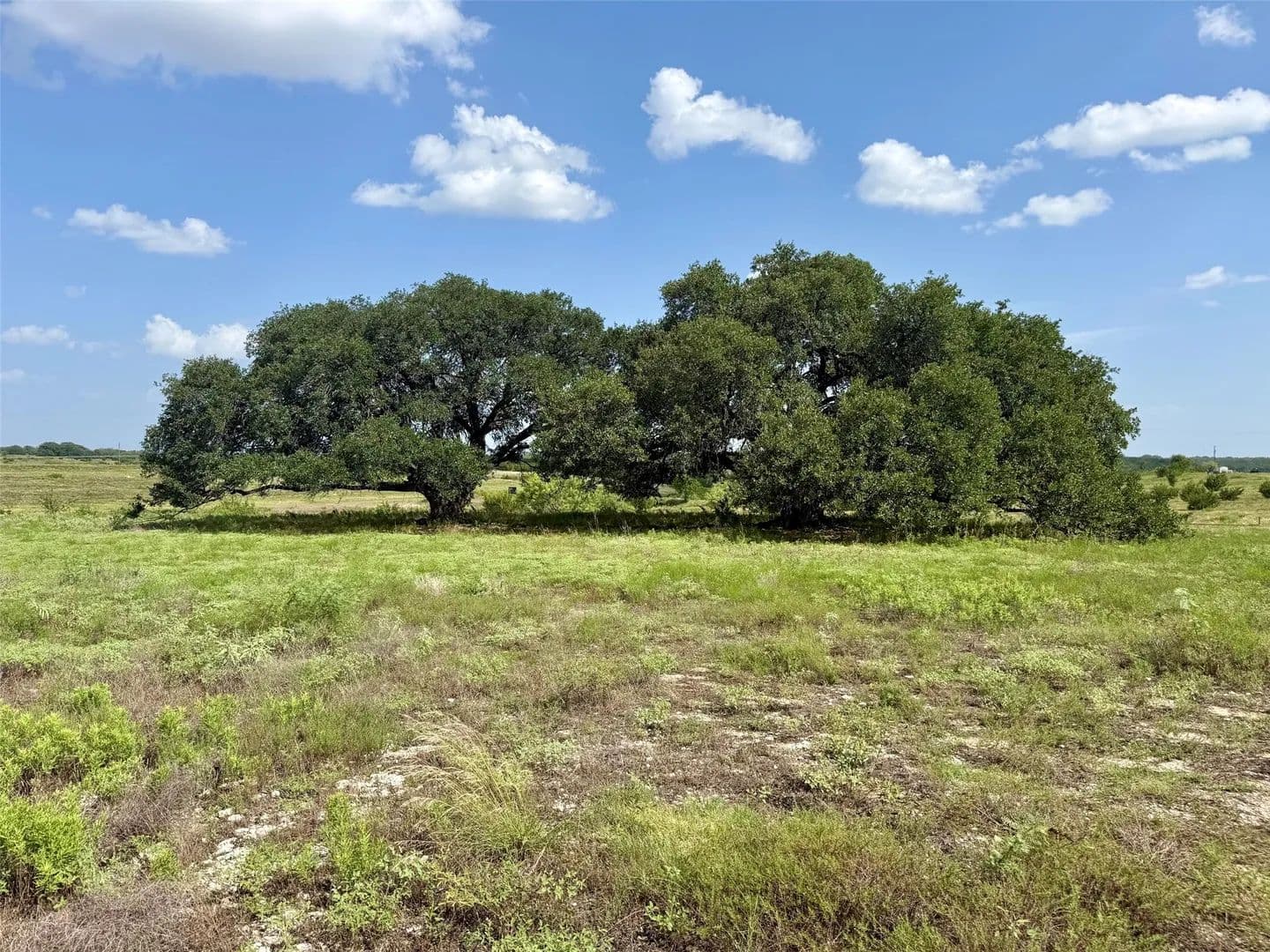 13 Acres of Land for Sale in Hamilton, TX - Hamilton, Texas, 76531