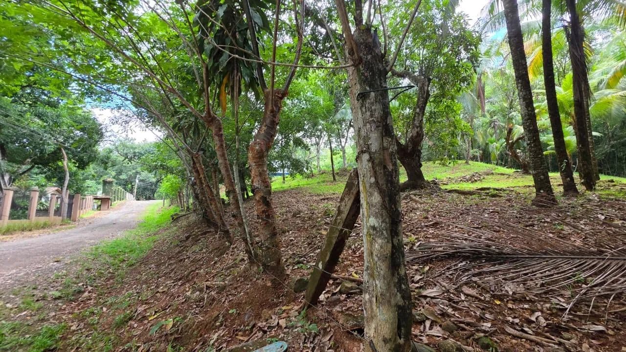 Lote para construir en San Mateo - land for sale