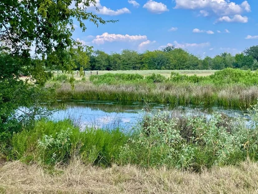 Property from TBD Pleasant Grove Road - KW