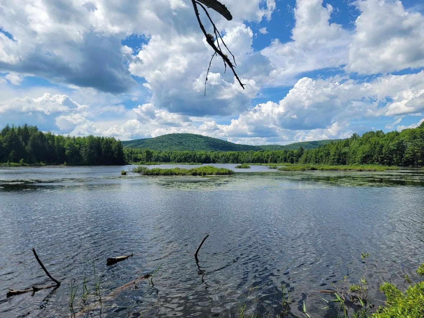 Land -Single Family Acreage in Jackson - Jackson, Maine, 04921
