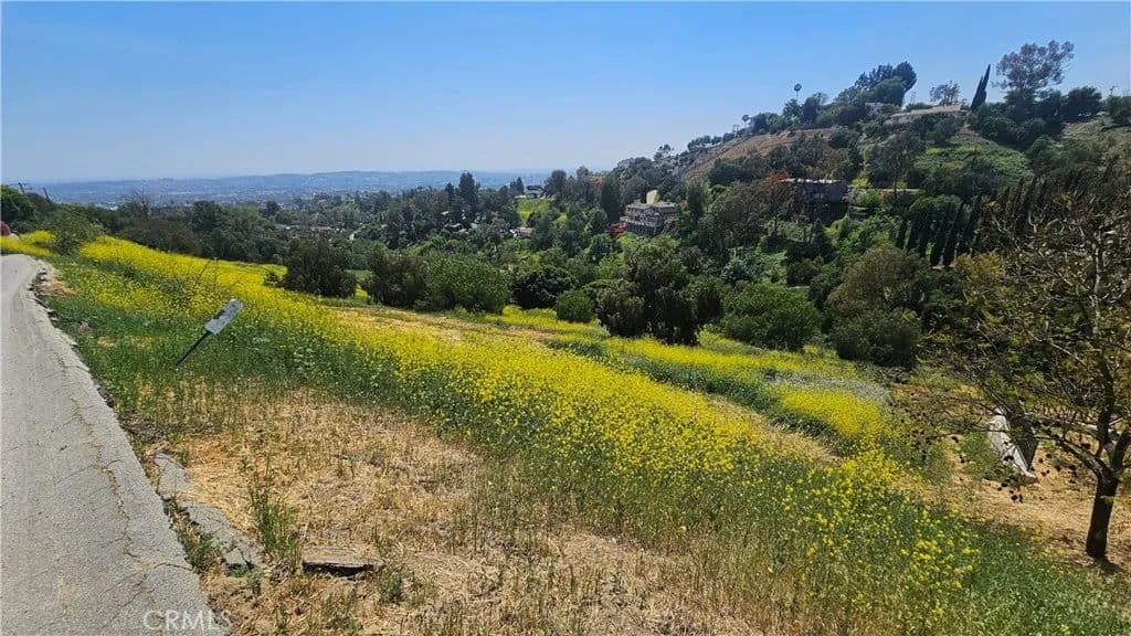 Vacant Land in La Habra Heights - La Habra Heights, California, 90631