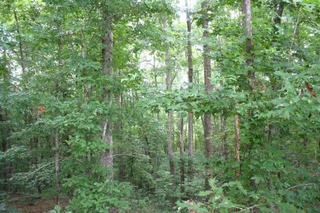 Pickens G&E 194 +/- Acres - Reform, Alabama, 35481