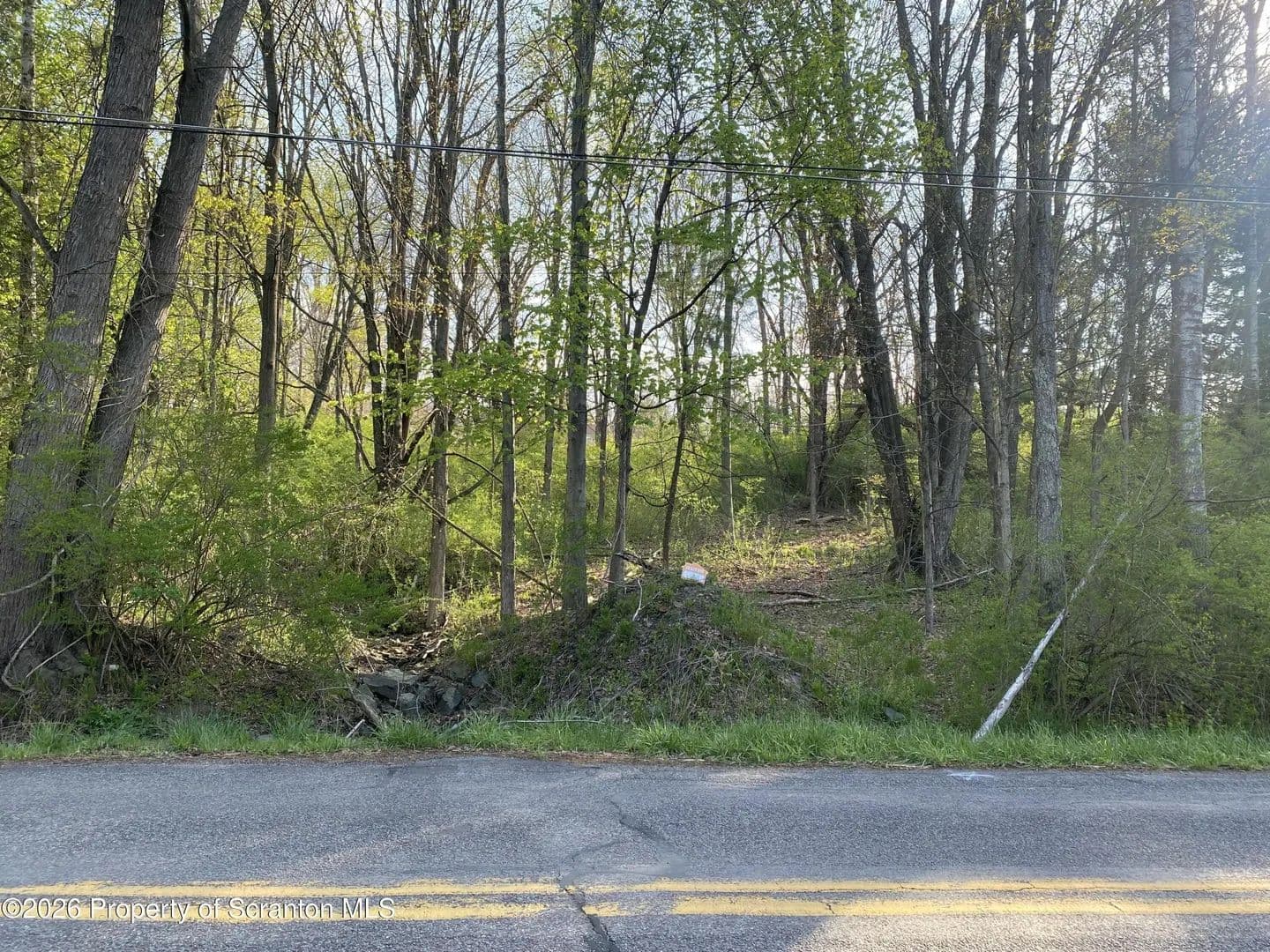Lots & Land-Other in Glenburn Twp - , Pennsylvania, 18411