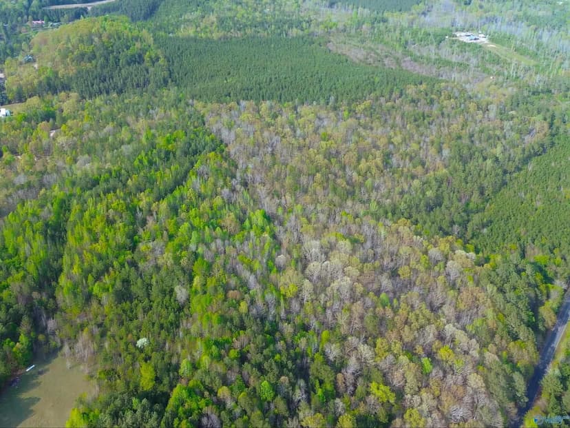 Property from 89 Acre County Road 8 - KW