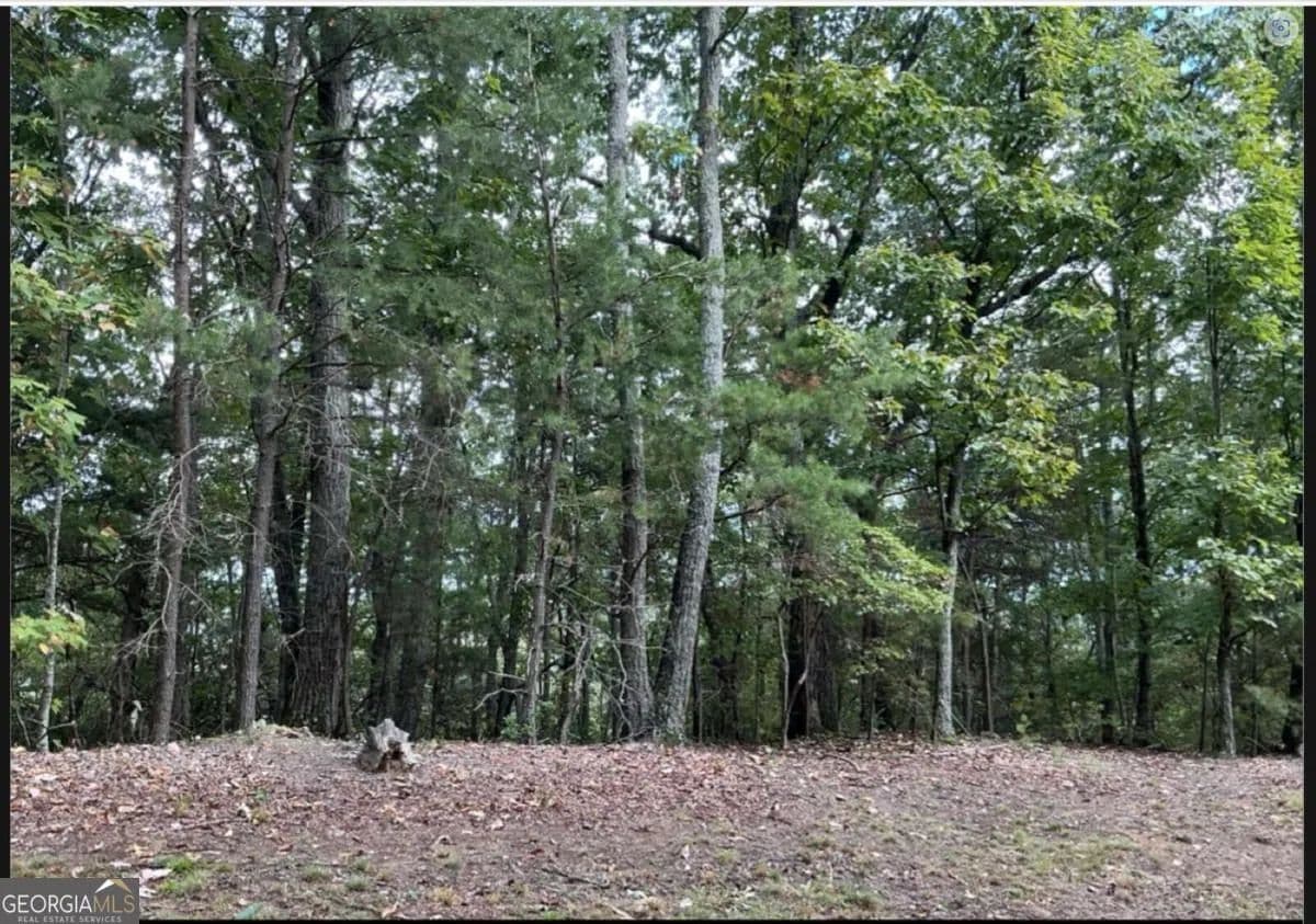 3.19 Acres of Land for Sale in Ellijay, GA - Ellijay, Georgia, 30175