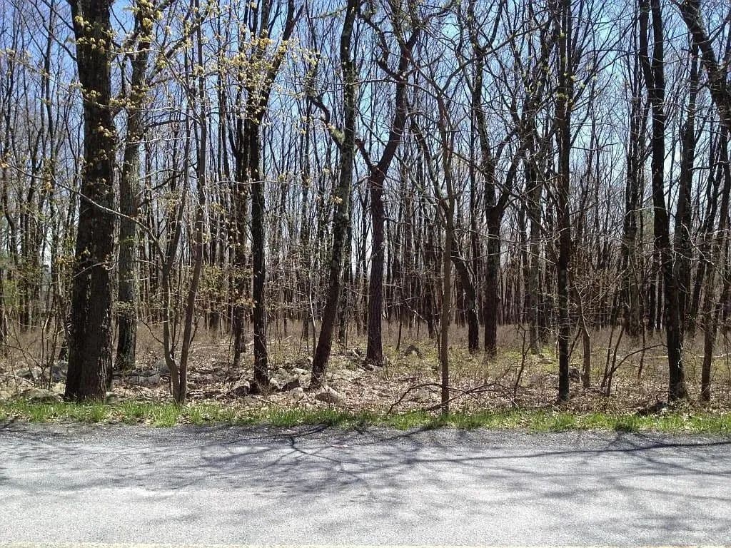 Vacant Land in Chestnuthill Twp - Pennsylvania, 18330
