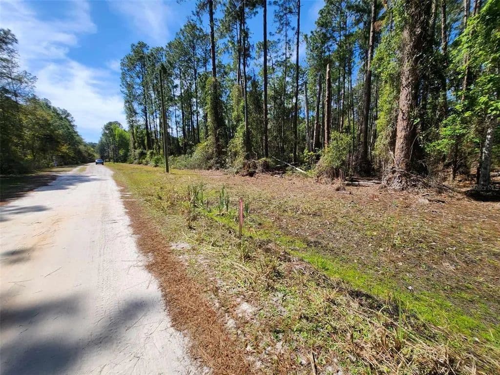 Vacant Land in Georgetown - Georgetown, Florida, 32139