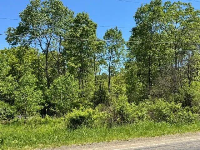 Land -Single Family Acreage in Russell - Russell, Pennsylvania, 16345