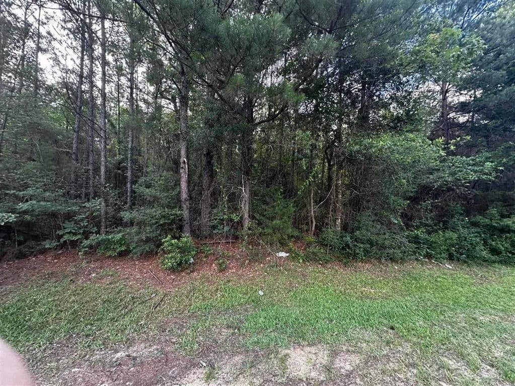 15.44 Acres of Land for Sale in Leesville, Louisiana - Leesville, Louisiana