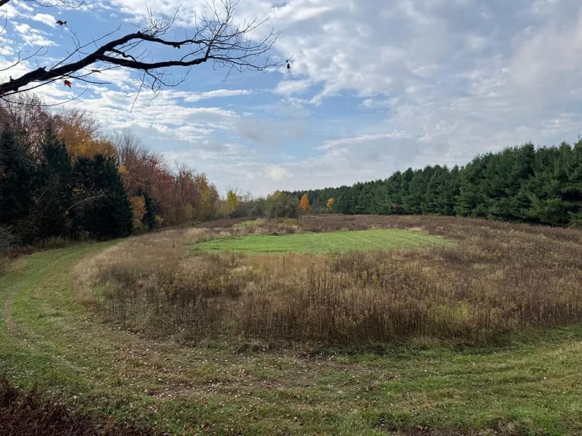 Vacant Land in Atlanta Twp
