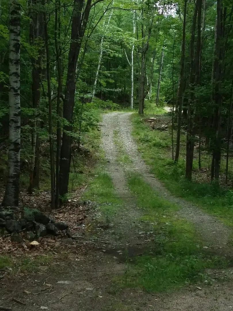 Vacant Land in Alton