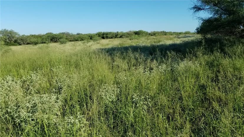 Property from 0 County Road 262 - KW