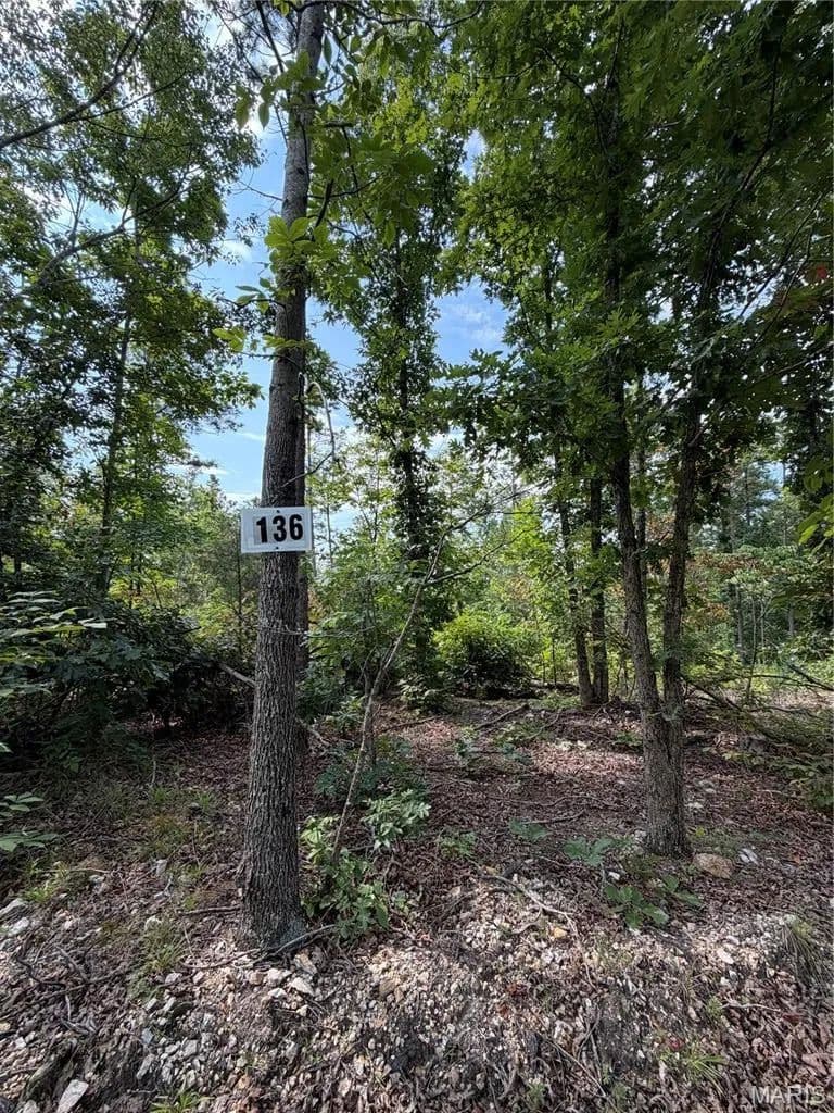 Lots & Land-Other in Fredericktown - Fredericktown, Missouri, 63645