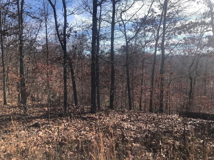 4+/- AC with a Summer Cabin For Sale in Dent Co., MO